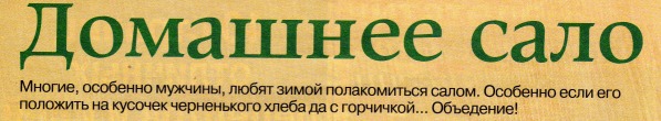 Фото Засолка сала